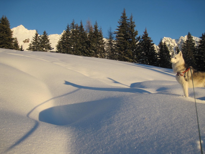 Saskia dans la neige en décembre 2011 1816