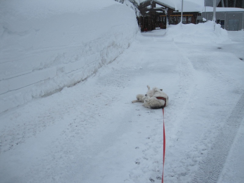 Saskia dans la neige en décembre 2011 221