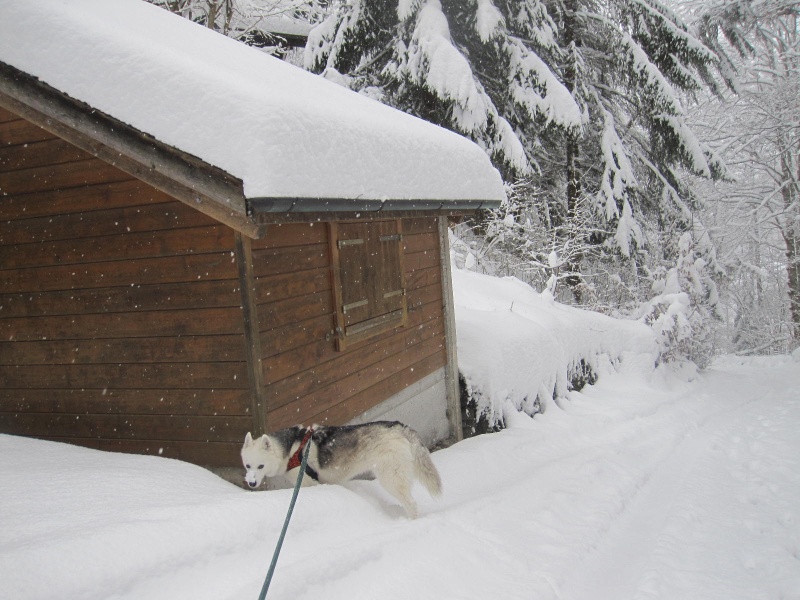 Saskia dans la neige en décembre 2011 2214