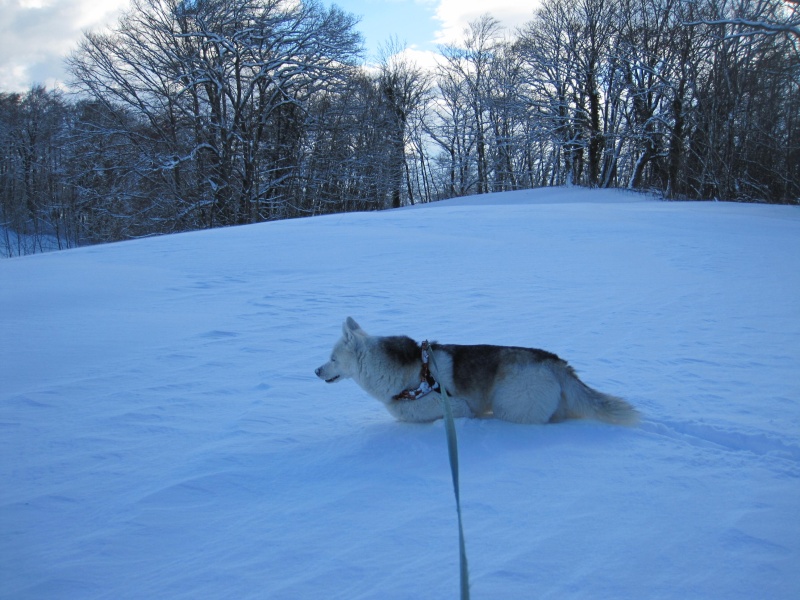 Nouvelles courses de Saskia dans la neige 2518