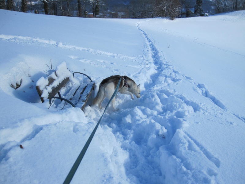 Nouvelles courses de Saskia dans la neige 2917