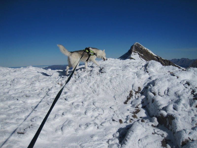 Saskia dans la neige en novembre 2011 3110