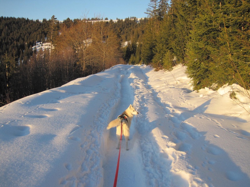 Saskia dans la neige en décembre 2011 326