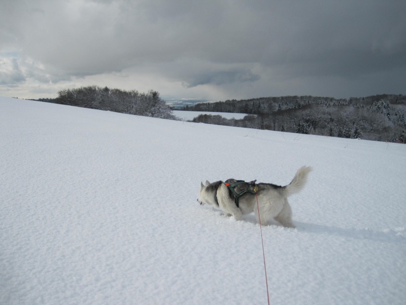 Nouvelles courses de Saskia dans la neige 3312