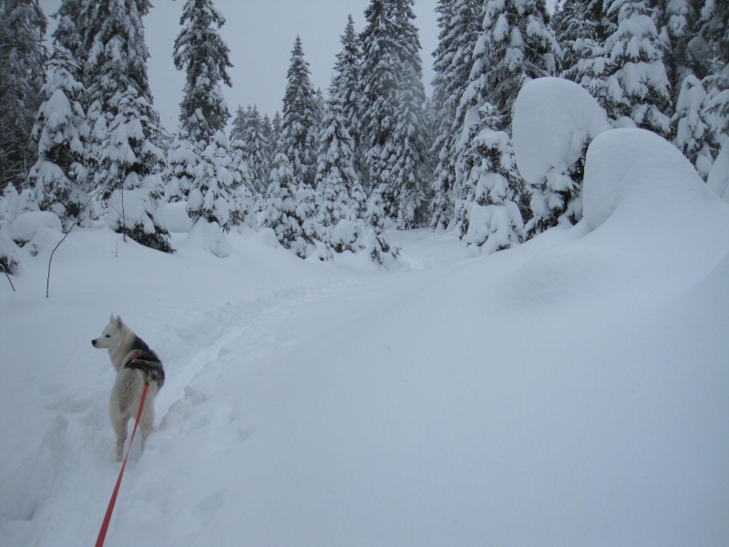 Nouvelles courses de Saskia dans la neige 342
