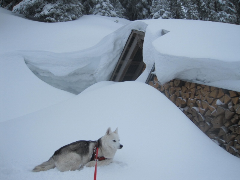 Sous le Teysachaux 4_le_t10