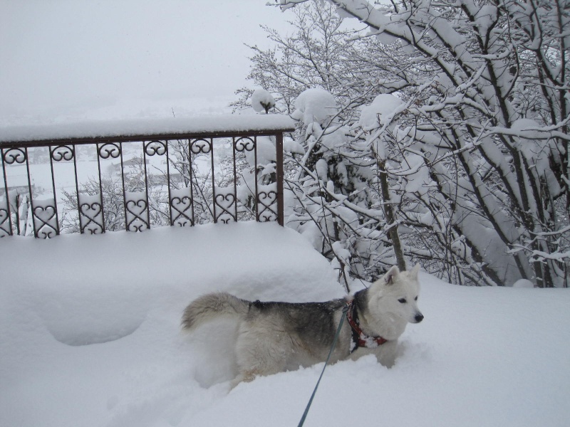 Saskia dans la neige en décembre 2011 619