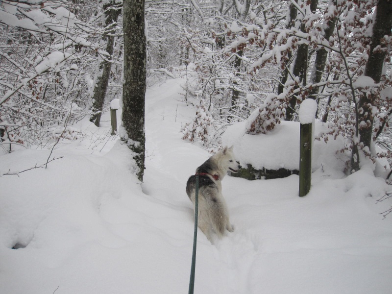 Saskia dans la neige en décembre 2011 817