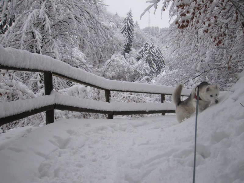 Saskia dans la neige en décembre 2011 916