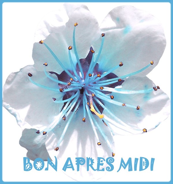 Bon après-midi de la part de Josiane 0d787b10