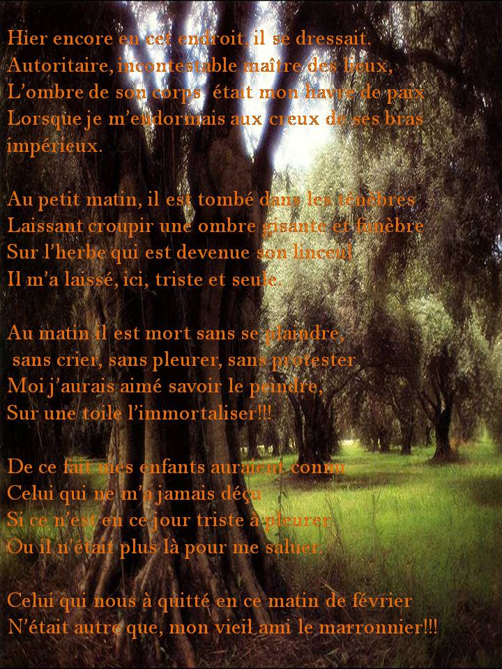 Poème "le marronnier" de la part de Josiane N4h2yi10