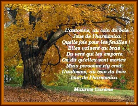 Poeme L Automne Au Coin Du Bois De Maurice Careme De La Part De Josiane