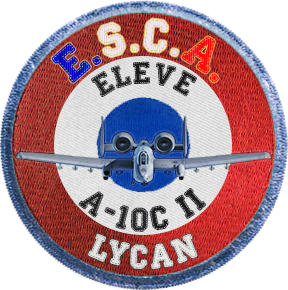 DCS World - École de Simulation de Combat Aérien Lycan10