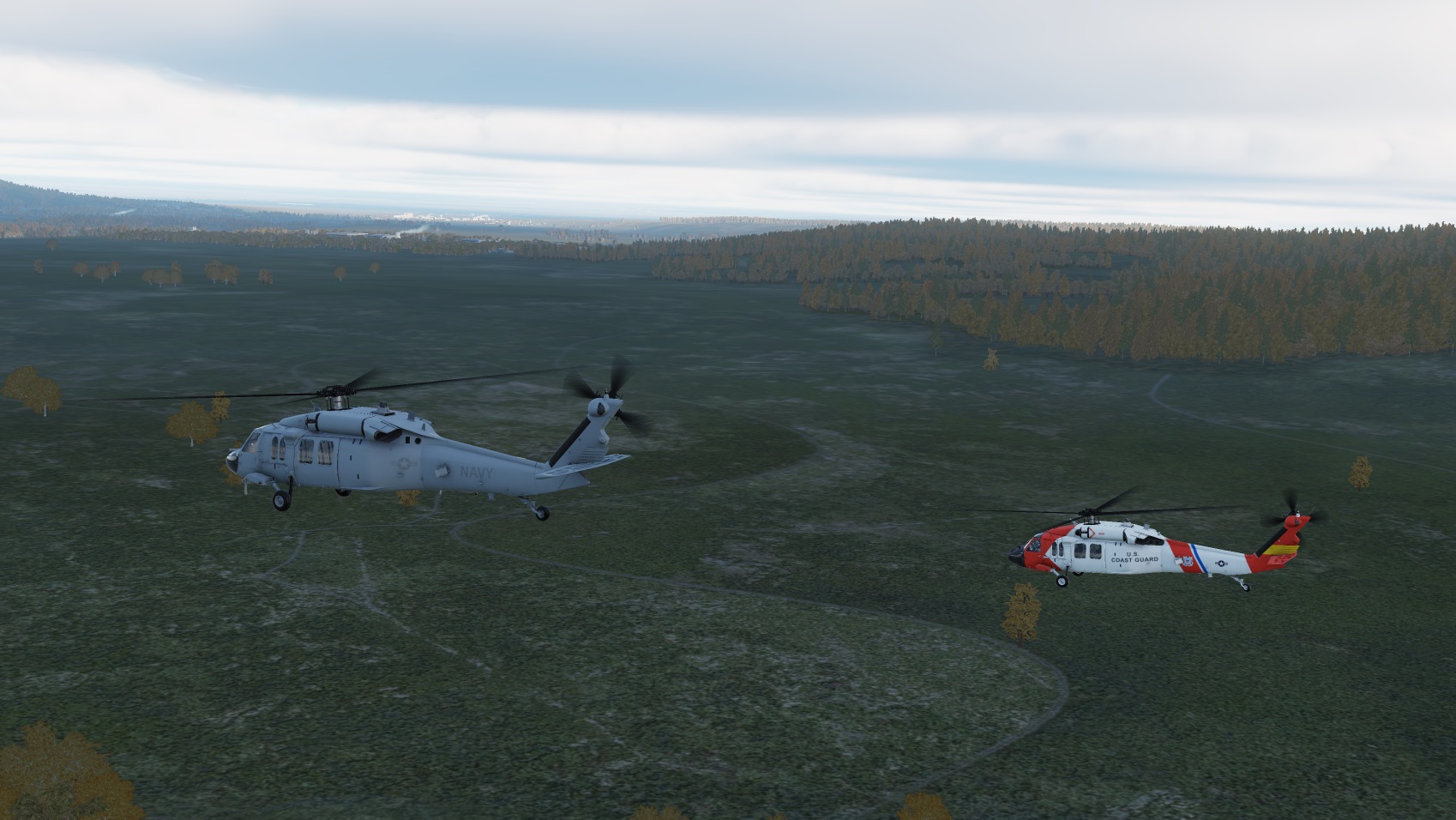 UH-60 MOD sortie  - Page 2 Screen82
