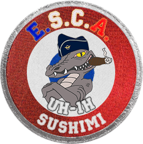 Sushimi: nouveau moniteur T-45C (N0) et UH-1H (N1) ! Sushim11