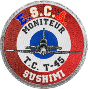 Sushimi: nouveau moniteur T-45C (N0) et UH-1H (N1) ! Sushim13