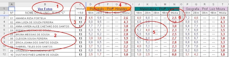 Diario - Visão dos Coordenadores Notas110