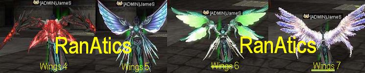 New Donation Items: Wings_10