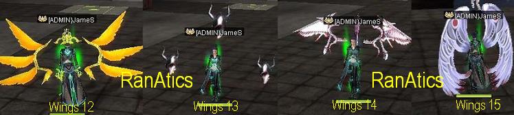 New Donation Items: Wings_12