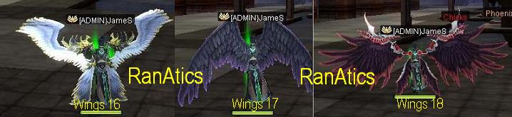 New Donation Items: Wings_13