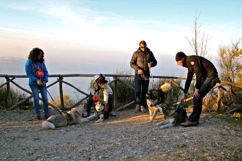 [Resoconto] Passeggiata a Monte Conero 32908110