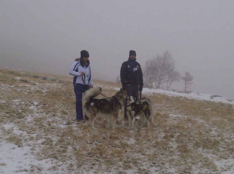 [Resoconto] MALAMUTE DAY(S) 27/28/29 GENNAIO 2012 40216311