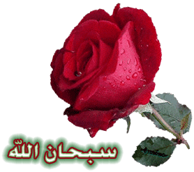 تهنئة بالزفاف السعيد لنجل الحاج (عصام فؤاد عرفة ) بمنطقة البيسرى  أول أسيوط . 214
