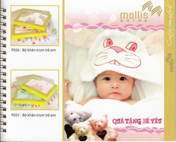 NEW Catalogue Mollis Extra Img13110