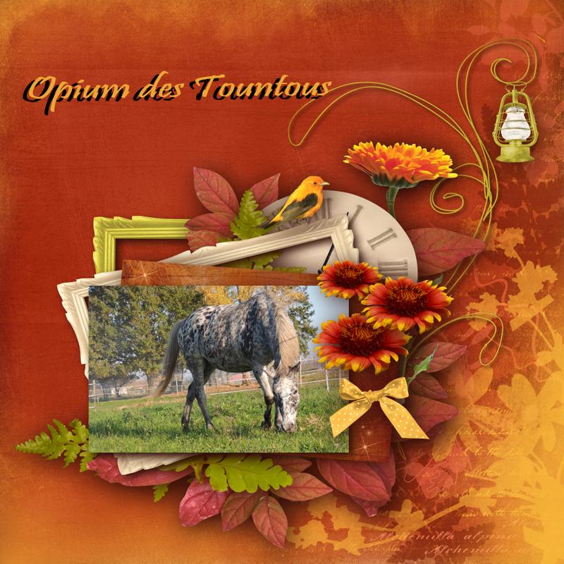 Mes petits montages photo!! - Page 2 Opium_80