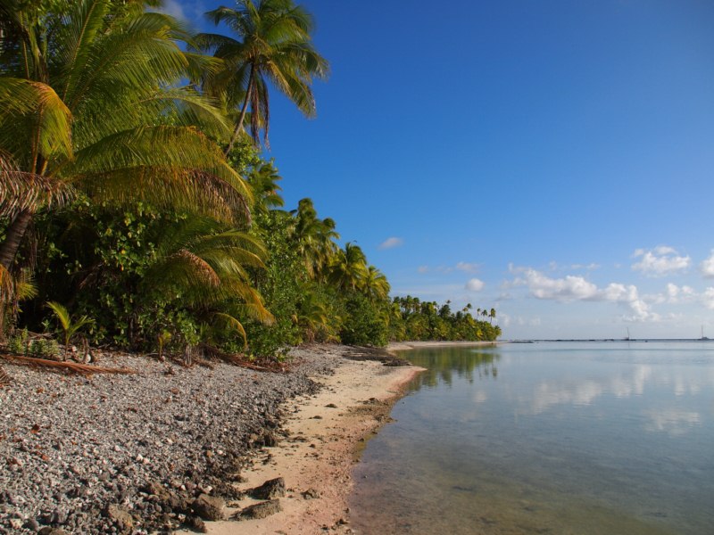 Un peu de soleil des îles pour vous rechauffer Pc034211