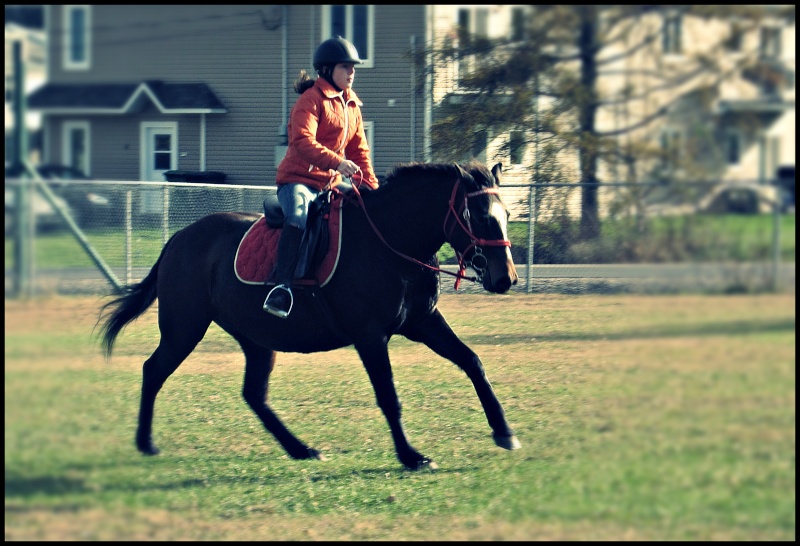 Randonnée pour fêter l'Halloween ! :D  Galop510