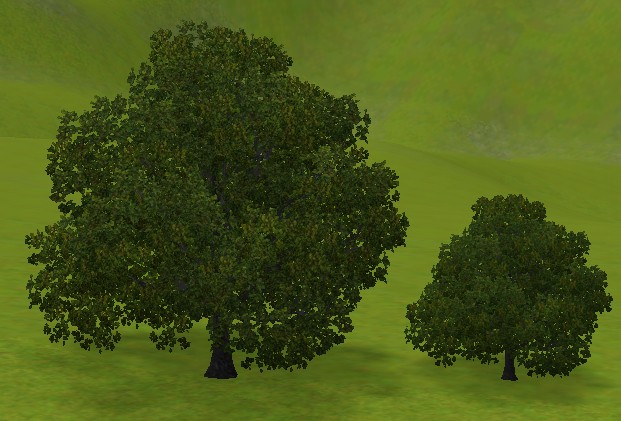 [Fiche] Les arbres disponibles dans CAW Chene10