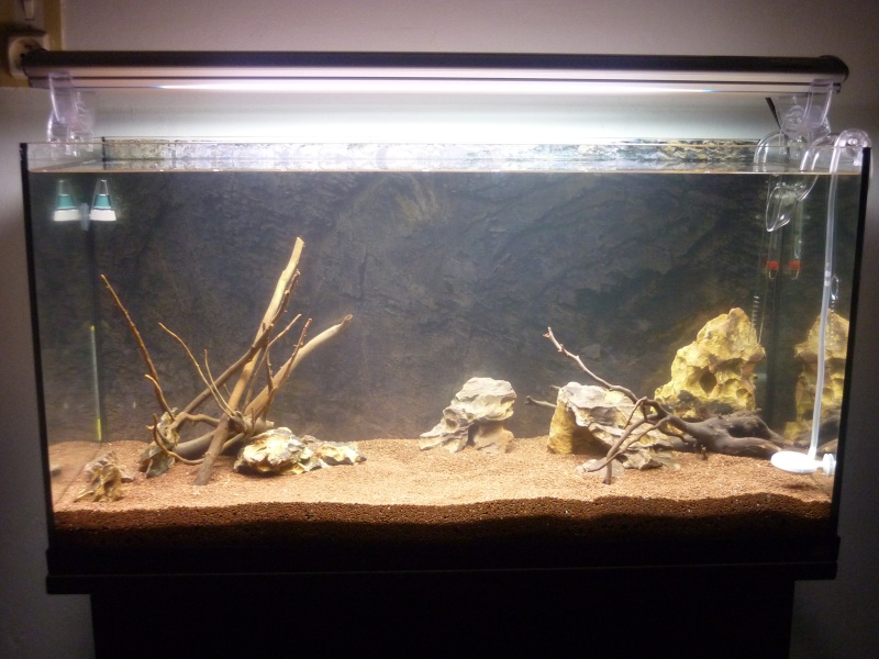 86l type aquascape by L.P P1000514