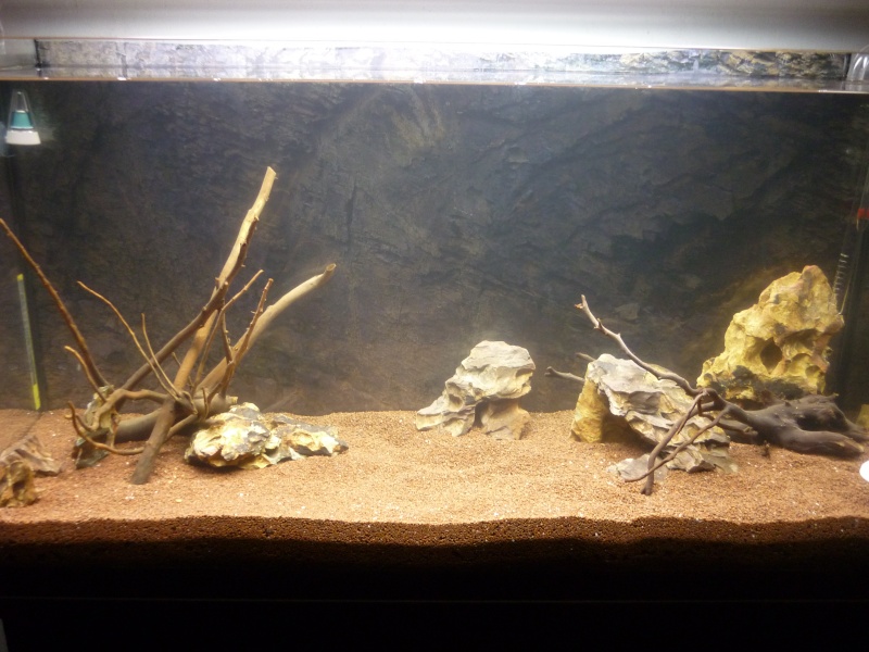 86l type aquascape by L.P P1000515