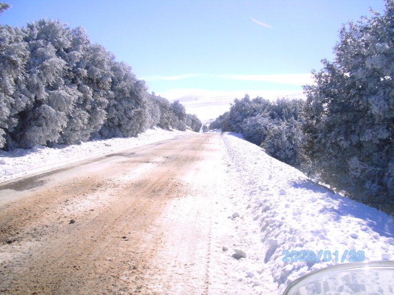 7 et 8 janvier 2012 hivernale "les marmottes" - Page 5 Bild0510