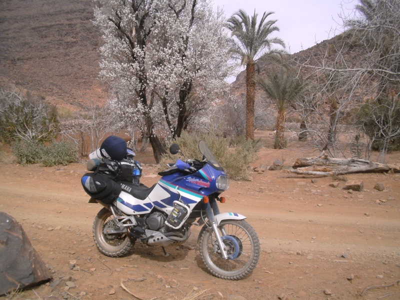  [27 et 28 aout]sortie voir camping sur un we region moselle alsace - Page 3 Maroc_10