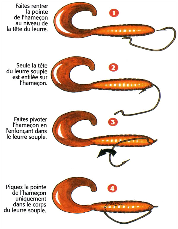 Carnassiers en étang? Articl10