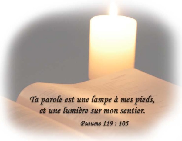  Parole et méditations du 8 juillet:« Adroits comme les serpents et candides comme les colombes »  Bf4d4710