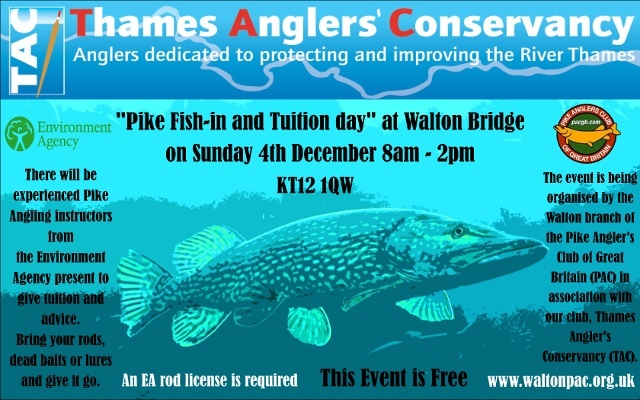 Thames Pike fish-in/Tuition event - Sunday 4th Dec T-a-c_10