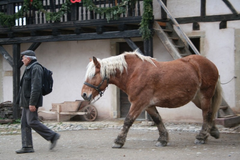 L'écomusée d'Alsace à Noël Ecomus16