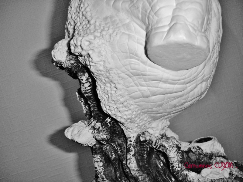 Buste résine " Vélociraptor " de Jurassic parc . Dsc01925