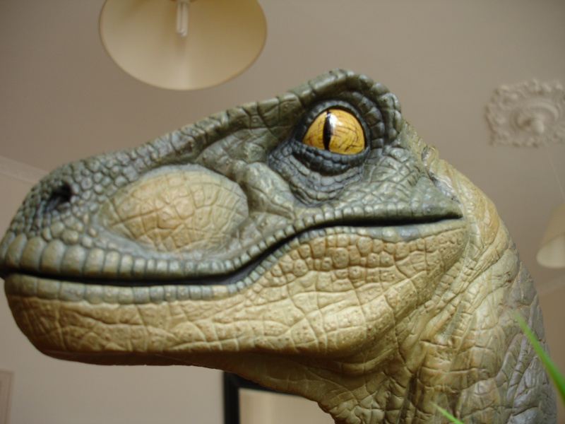  Buste résine  " Vélociraptor " de Jurassic parc . - Page 3 Dsc01965