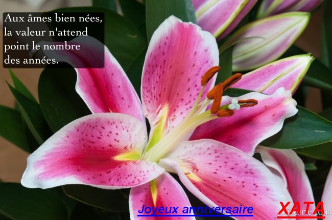 Bon anniversaire Xata Annive10
