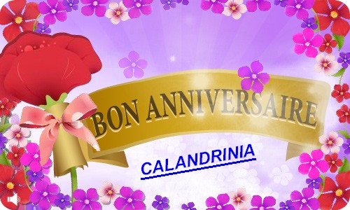 Le jour de Calandrinia !!! Cc_cf_10