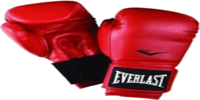 ||Affiche|| Famliy James Boxing. Défiez le champion! Everla12