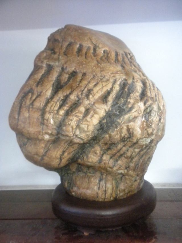 Stone from Nam Giang river Dscn0512