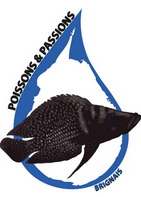 bourse aux poissons 2013 Logo_p11
