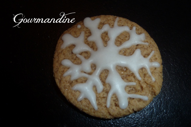  - gingerbreadman (bonhomme de pain d'épices) - Page 4 Flocon10