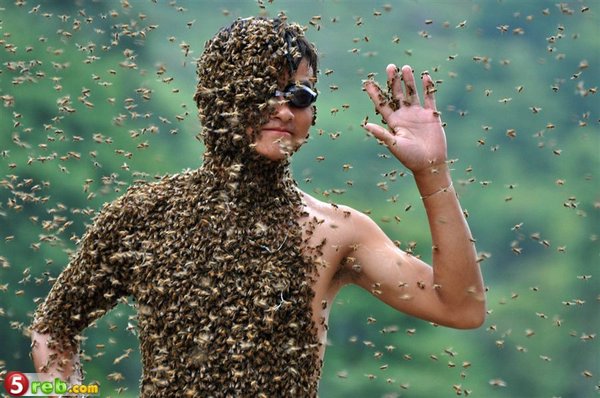 رجل صيني يغطي نفسه بـ 26 كيلو من النحل  110