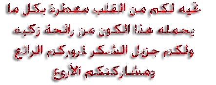مبارك يرفض التنحي الفوري | الخطاب الثاني.flv  497e9e10